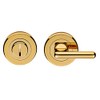 Disabled Lock and Release Handle - Concealed Fix- DDA Compliant-