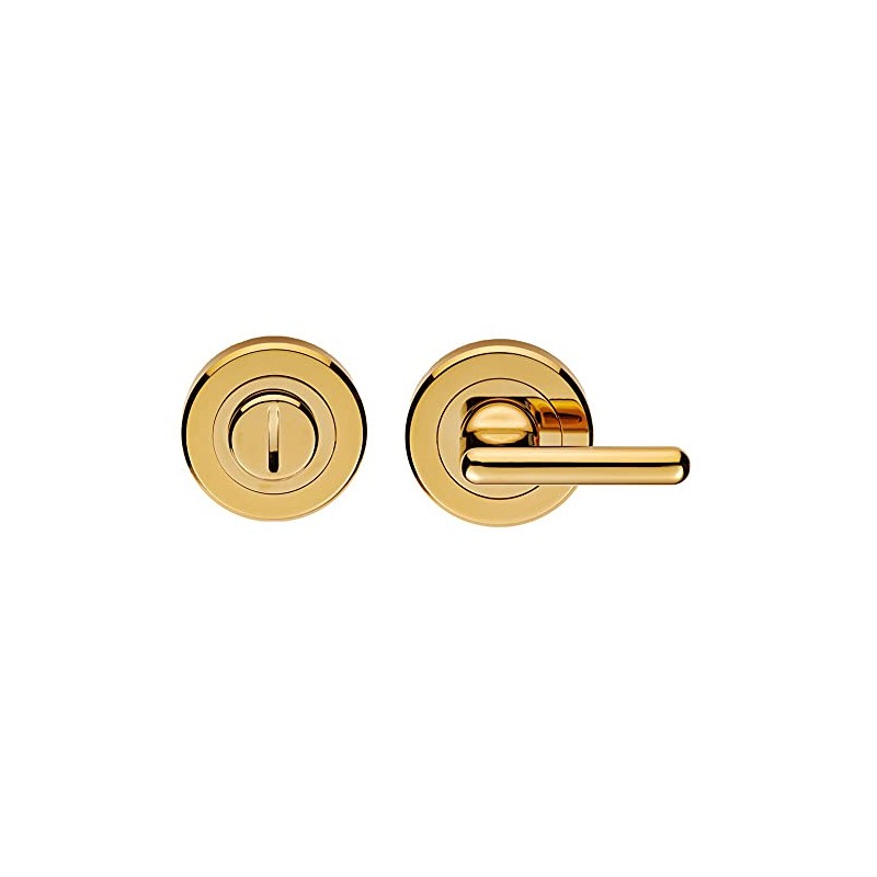 Disabled Lock and Release Handle - Concealed Fix- DDA Compliant-