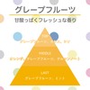 晴香堂(HARUKADO) カーオール 車用 芳香剤 ロコス ピュア グレープフルーツ 95ml 1744