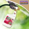Bonide Captain Jack's Deadbug Brew, 32 oz Ready-to-Spray Outdoor Insecticide