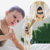Children's Anatomy Model, 3D Skeleton Anatomy Model, Torso Anatomy Model,