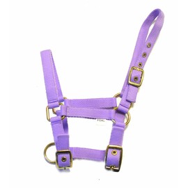 Rhinegold Nylon Foal Headcollar - Lilac