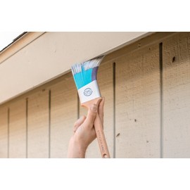 Stinger Red Tip 3 inch - Professional Angle Interior Paint Brush with Fill-A-Blend Technology - Trim Paint Brushes for Painting Walls, Cutting in, and Edges - 3 inch Interior Paint Brush