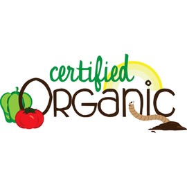 CafePress Certified Organic Memory Keepsake Jewelry Box, 5"x5"x3.75"