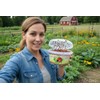 1500 Live Ladybugs - Hippodamia Convergens - Guaranteed Live Deliver