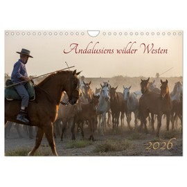 Pferde - Andalusiens wilder Westen (Wandkalender 2026 DIN A4 quer), CALVENDO Monatskalender