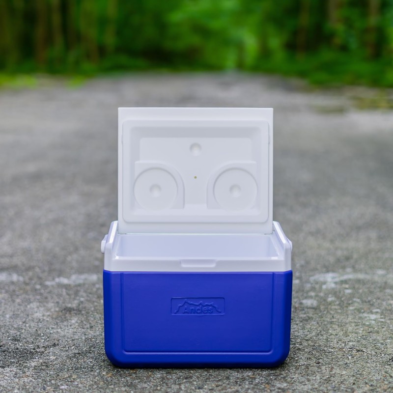 Andes 5L Cool Box for Food and Drinks, Fits 6