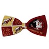 Sports Themes Hair Bow Collection (Headband, FSU Seminoles/Red)