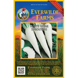 Everwilde Farms - 500 White Spear Sprouting Radish Seeds - Gold Vault Jumbo Seed Packet