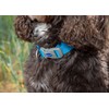Ancol Viva Quick Fit Adjustable Collar, Blue, Size 2-5 for