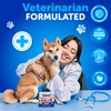 Probiotics for Dogs - Support Gut Health, Itchy Skin, Allergies,