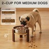 Feedoo Elevated Dog Bowl Stand, 6'' Height Raised Stand for