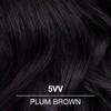 COLORCHARM Demi Permanent Hair Color 5VV Plum Brown Gloss, Refresh