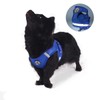 Dog Harness Set with Lead, Dog & Cat, Small Soft