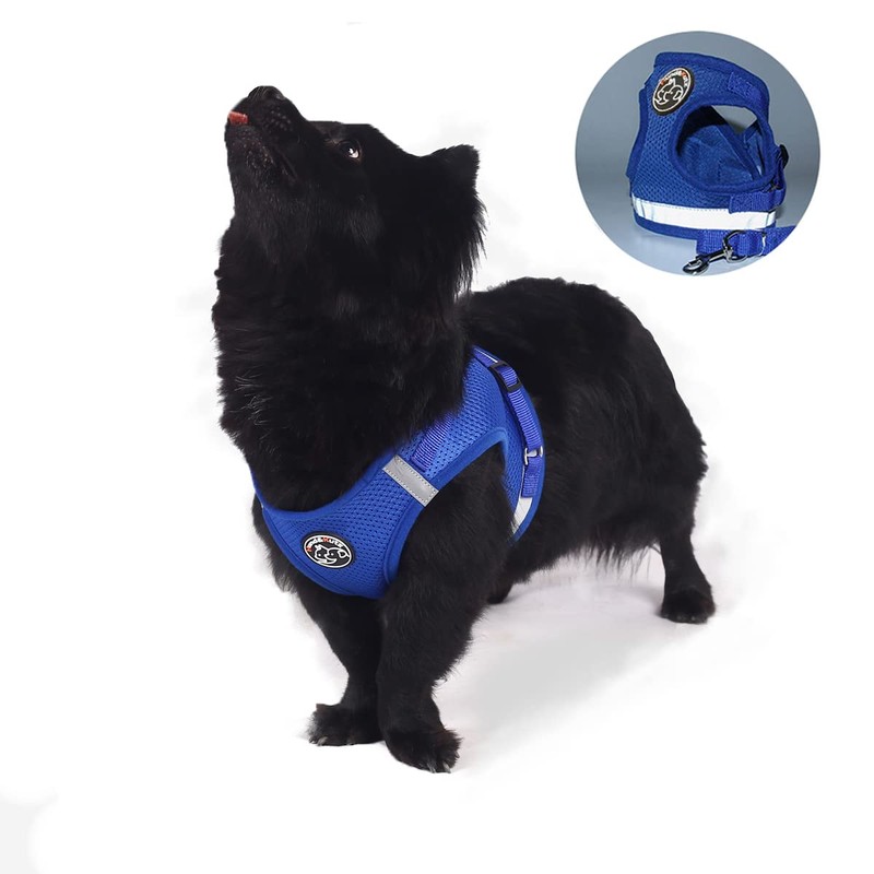 Dog Harness Set with Lead, Dog & Cat, Small Soft