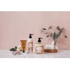 Panierdessens Pannier Essence Essentials CA Body Milk Rose Body Cream