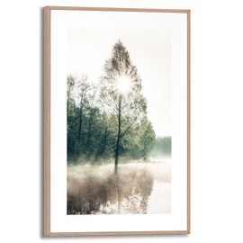 REINDERS Framed Picture, Sun Through the Trees, Living Room, Pictures, Wall Decoration, Room Decor, Wood, Green, 30 x 20 cm
