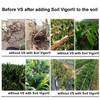 Improve Your Lawn and Garden with Soil Vigor for Long-Term