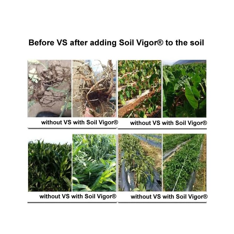 Improve Your Lawn and Garden with Soil Vigor for Long-Term