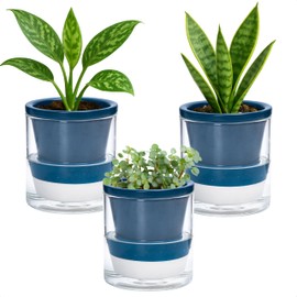 D'vine Dev 4 Inch Design Self Watering Planter for Indoor Plants, Blue Terracotta Pot with Cylinder Glass Cup, Set of 3, 37-Z-A-4-T