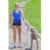 Dingo Canicross Belt and Leash, Multifunction Jogging Set with Shock-Absorber,
