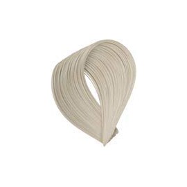 G & C Hair Color (9.1/9.A Ash)