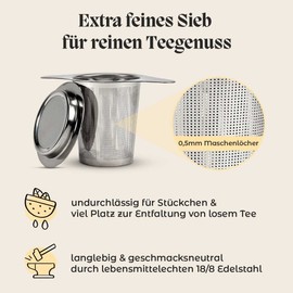 teegeschwister® Fine Tea Strainer for Loose Tea, Stainless Steel Tea Filter with Lid/Drip Tray, Wide Double Handle for Various Cup Sizes