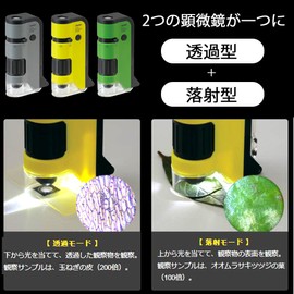 Raymay Fujii RXT300M Handy Microscope DX Green