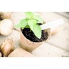 Gardman 08311 6 cm Square Fibre Pots, Multi-Colour, 6 x
