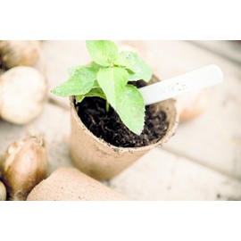 Gardman 08311 6 cm Square Fibre Pots, Multi-Colour, 6 x 6 x 26 cm