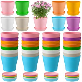 Yaomiao 48 Pcs 4 Inch Colorful Plastic Plant Pots with Tray Flower Plant Pots Seedling Nursery Pots with Drainage Holes for Home Garden Flowers Outdoor Indoor Succulents Plants