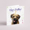 Curled Up Border Terrier Birthday Card - Party Hat
