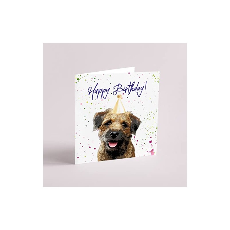 Curled Up Border Terrier Birthday Card - Party Hat