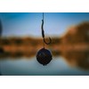 Tandem Baits Carp Feed Fishing Food Hook Bait Carp Food