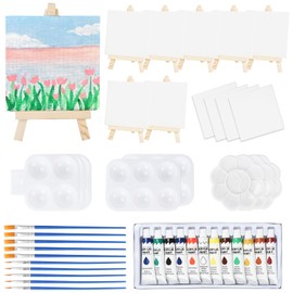 DONQL 50 Pieces Mini Canvas with Easel Set, Adjustable Mini Easel for Painting, with 4 x 4 Inch Mini Canvas, Brush, Painting Palettes and Acrylic Paints for Oil Painting, Children and Artists