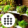 Juego de 10 cestas de plástico para plantas de estanque
