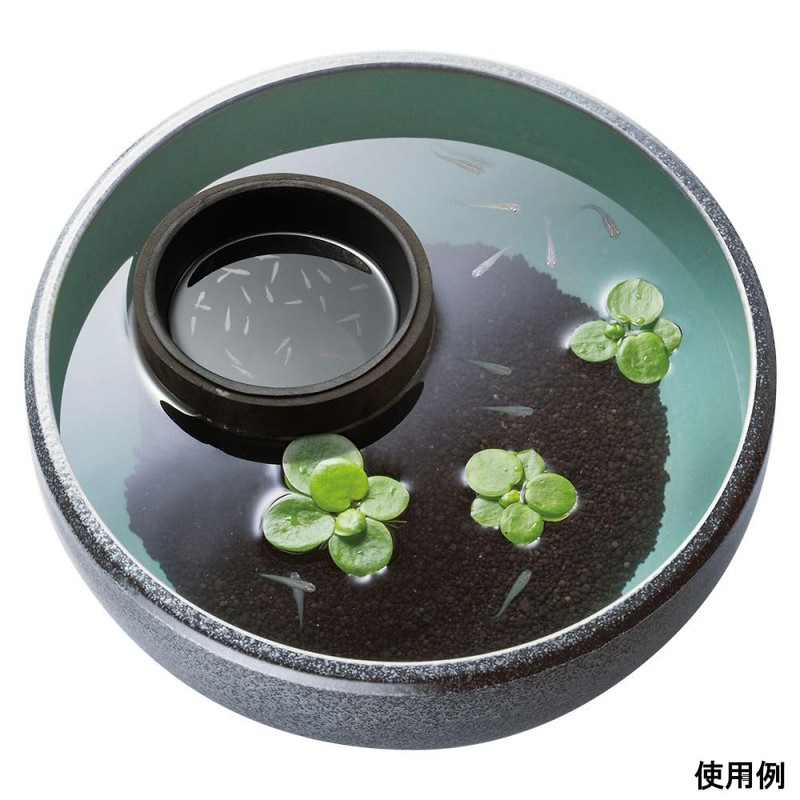 SUDO S-5990 Star Pet Medaka Needle Net