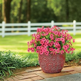 ATTGREAT 12 Bundles Artificial Flowers Outdoor, Faux Fall Mums UV Resistant Fake Flowers Plants Decorations, Real Touch Plastic Flower Bulk for Spring Garden Hanging Planter Home Vase Decor, Rose Red