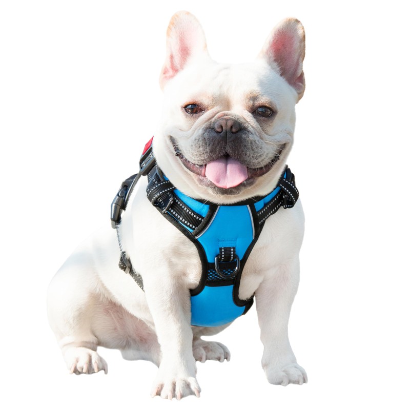 PHOEPET No Pull Dog Harness, Adjustable Dog Vest Harness for