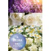 Celatis Night Repair Shampoo "Night Sleep Care New Swell Beauty