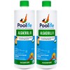 Poolife AlgaeKill II (1 qt) (2)