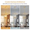 ANJIADENGSHI ​​Vintage Lantern Pendant Light 4 Light Lantern Chandelier Farmhouse