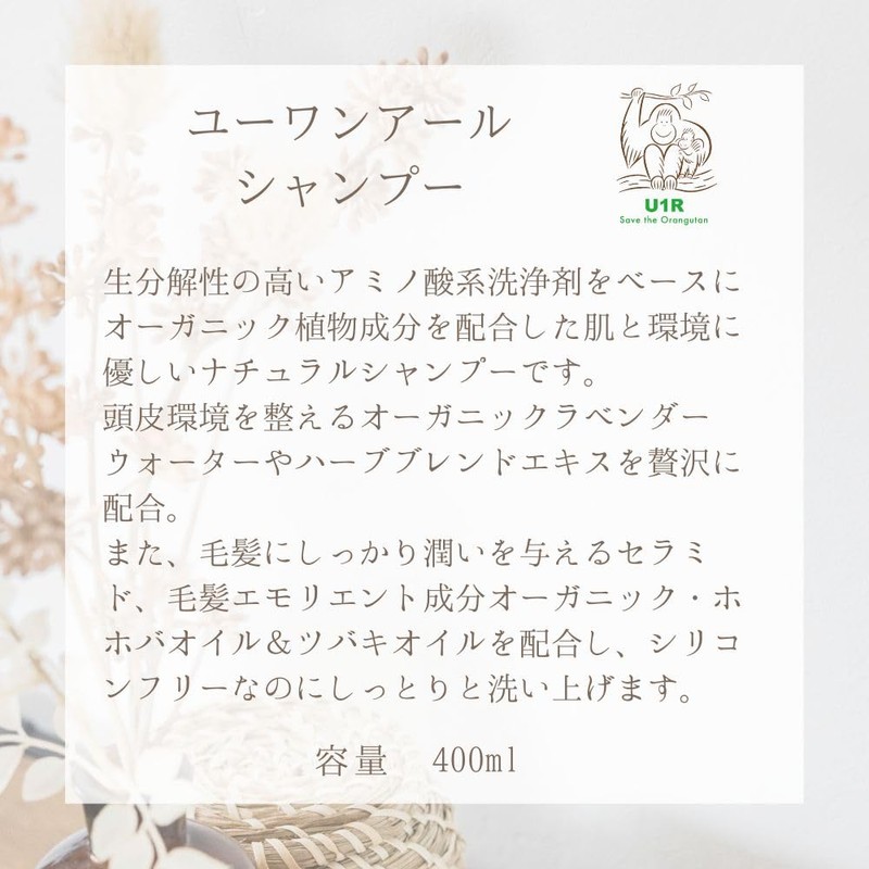 You One Earl (U1R) Shampoo, 13.5 fl oz (400 ml),