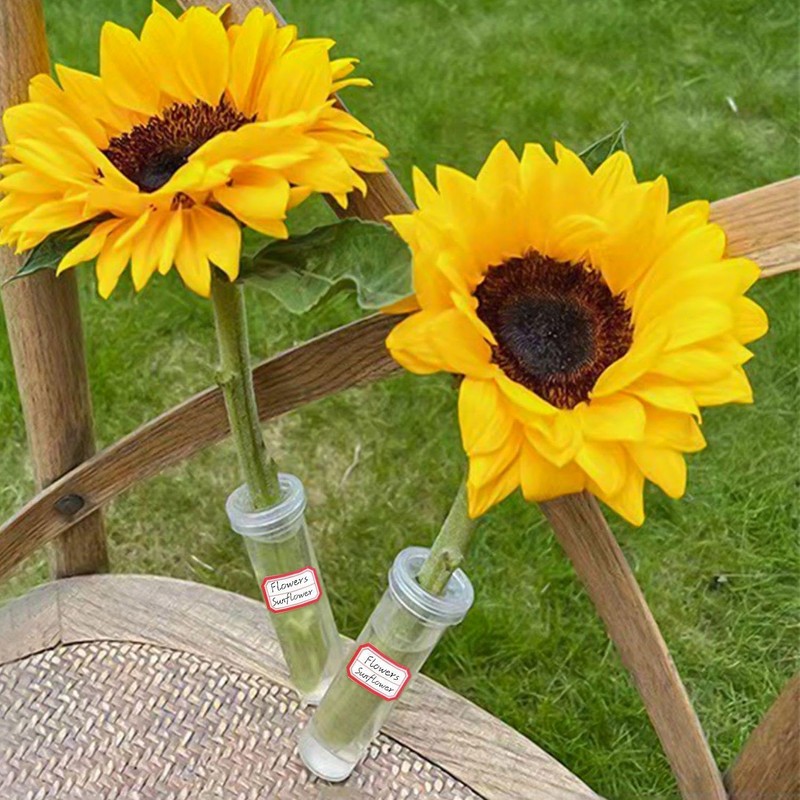 40 Pieces Flower Nutrient Tubes and 2 Label Stickers, Clear