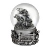 Americaware PSGFLA65 Florida 65 mm Snow Globe
