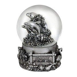 Americaware PSGFLA65 Florida 65 mm Snow Globe