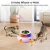 Cat Toys,3 in 1 Automatic Cat Toy,Interactive Cat Toys for
