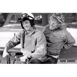 Dumb and Dumber Jim Carry Jeff Daniels Poster 24 x 36