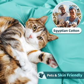 LBRO2M 100% Cotton 1200 Thread Count King Size Sheets Set,16 inches Deep Pocket,Bed Sheet 4 Piece Sets(Lake Green, King)