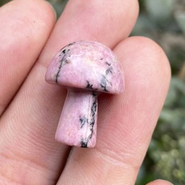 Ladeukoi Pack of 5 Mini Mushrooms Shaped Gemstone Statue Figurine, Carved Crystal Stone Mushrooms Craft for Healing Chakra Reiki Balancing Home Decoration, Rhodonite